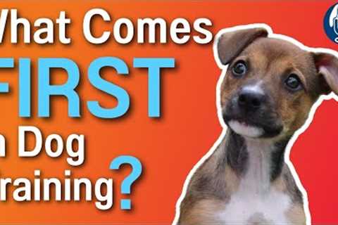 Dog Training With Layered Shaping: Why Classical Conditioning Must Come First #171 #podcast