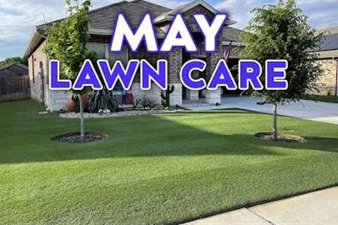 Bermudagrass Lawn Care in May | 6 Ways to Prepare your Lawn for Summer