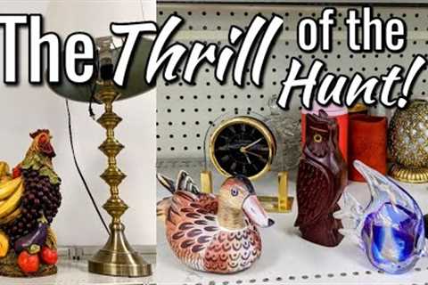 The Thrill of the Hunt-Goodwill Thrift Shopping with Me+My Unique Score!-Thrifting in 2022