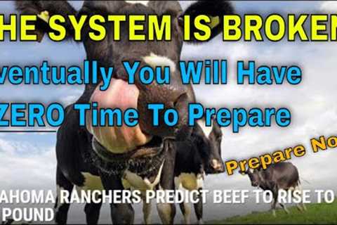 RANCHERS WARN OF $50 PER POUND BEEF - CATASTROPHIC CROP LOSSES IN 2022 WILL LEAD TO FAMINE