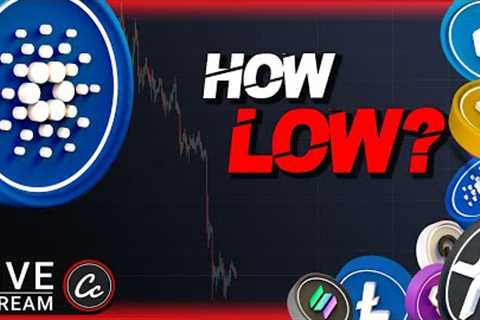 How low can CARDANO ADA and other ALTCOINS go... Your Daily Altcoin UPDATE!
