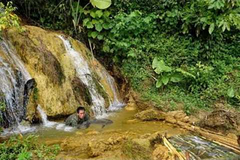 Forest life skills, fish trap,cooking with family, Building Life,Survival, Episode 56