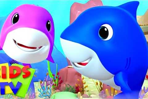 Laughing Baby Shark Song | Nursery Rhymes | Children's Music &amp; Baby Songs | Junior Squad | Kids ..