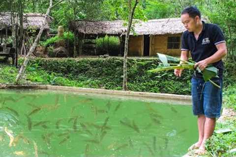 Growing bananas, herding fish, the daily life of Primitive Skills (ep181)