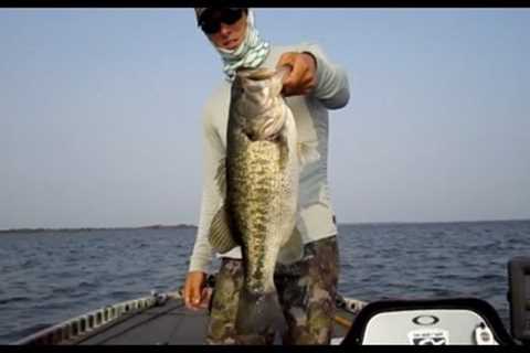 How to Catch Bass in Deep Water