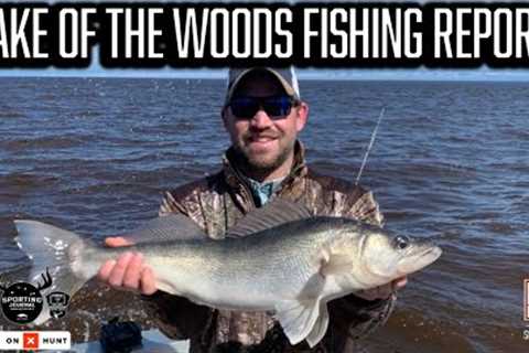 Lake of the Woods Fishing Report (Mid-May)