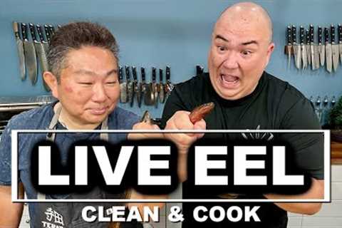 LIVE EEL, Catch, Clean &amp; Cook FEAT. Sous Vide Everything