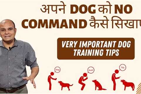 How to Teach 'NO Command' to your Dog | Exclusive Dog Training Tips | Baadal Bhandaari