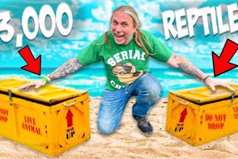 $3000 of Reptiles Arrive! Let's Unbox Them!