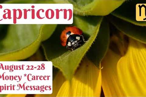 ♑CAPRICORN⭐TAKING CHARGE, CAPRICORN!⭐WEEKLY TAROT &amp; ORACLE AUGUST 22 - 28/NEXT 7 DAYS🔮