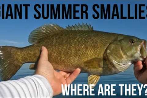 Lake St Clair Smallmouth Bass Fishing On Anchor Bay | Where to find GIANT smallies in late summer