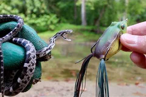 LIVE BAIT vs. ARTIFICIAL LURES -- FISHING EXPERIMENT!!! (Snake vs. Frog vs. Worm)