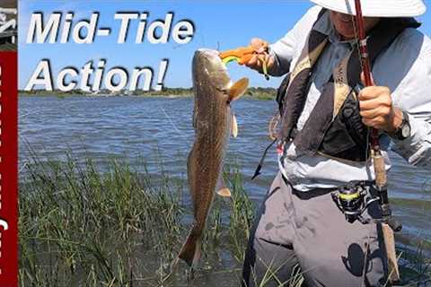 Fishing for Red Drum in NC - Mid-Tide &amp; Close to Launch Site