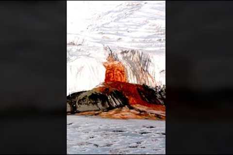 Scientists Made A Haunting Discovery After Finding This In Antarctica #shorts