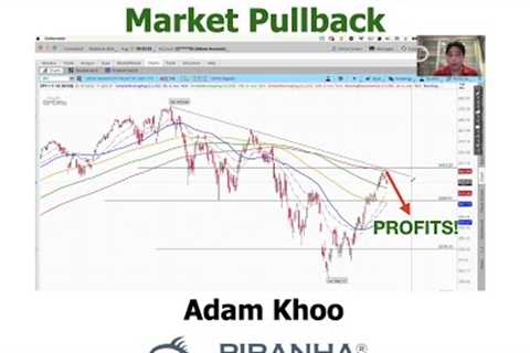 Profit from the Stock Market Pullback