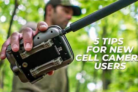 5 Tips for New Cellular Trail Camera Users