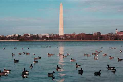 Tips for a Great Family Vacation in Washington DC