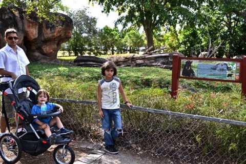 Miami Metro Zoo Review: Things to See, Exhibits and More