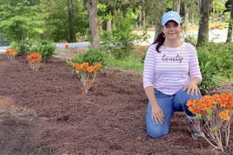 Flower Bed - Tips, Ideas, and a Video | Gardening with Creekside