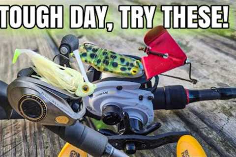 Summer Bass Fishing | BUZZ FROG &amp; SWIM JIG