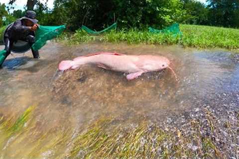 amazing fishing! a lots of strange Redfish on the road when flood water catch by fishing tools