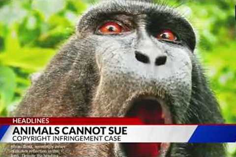 Funniest News bloopers ft. ANIMALS