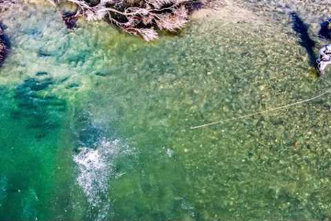 Incredible Fly Fishing in The River of a 1000 Trout!!