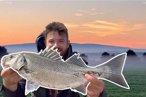 I CAN'T BELIEVE how fast I caught these BASS! (Crazy Lure Fishing)