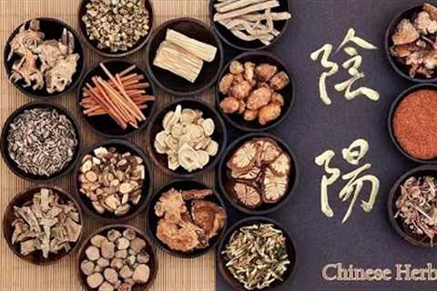 Why Chinese medicine is BEST in the world ? | Visit - Traditional Chinese Medicine (TCM )