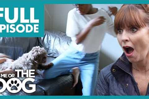 Dog Bites and Lunges At Child That Wanted Him | Full Episode | It's Me or the Dog