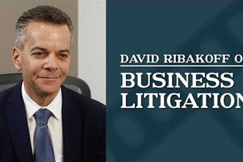 Business Litigation | Top Los Angeles Commercial Litigation Attorney | David Ribakoff