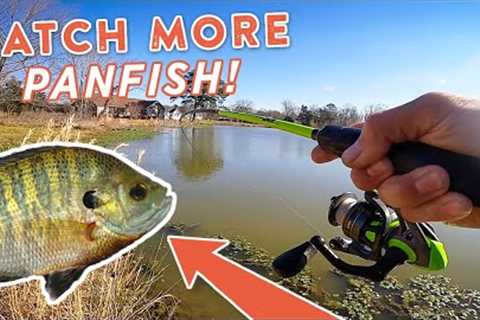 Panfish Fishing 101: How To Catch MORE Panfish with Andrew Nordbye!