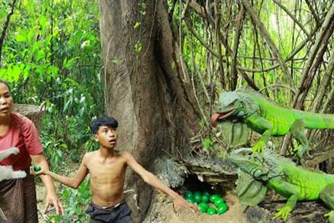 Survival skills-Man with woman found big iguana in the forest &amp; take egg for cook -Eating..