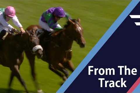 HUGE upset! 125-1 chance defeats odds-on favourite at Newbury! - Racing TV