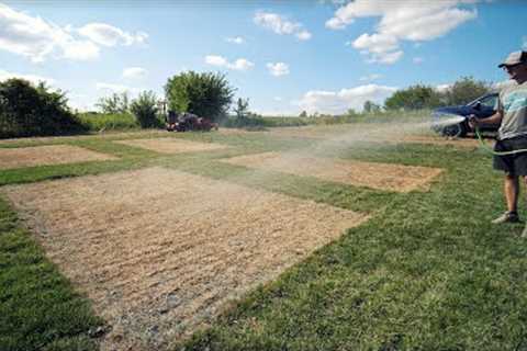 Planting Grass (and Microclover) From Seed