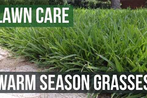 Warm Season Grasses: A Lawn Care Guide