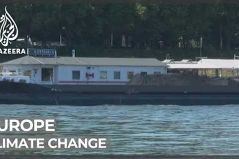 Europe's Rhine River levels plummeting, hampering shipping