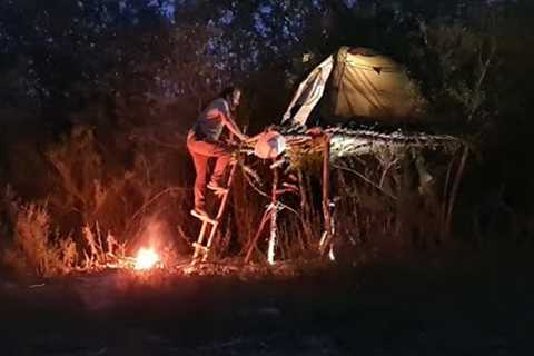 Tent camping on tree terrace, 2 days solo camping, Cooking, Survival skills