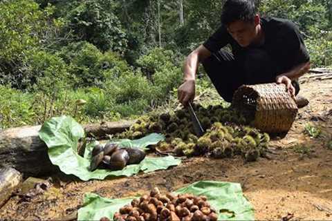 Nolan's lucky day, lots of delicious food to be found, survival in the tropical rainforest, ep 203