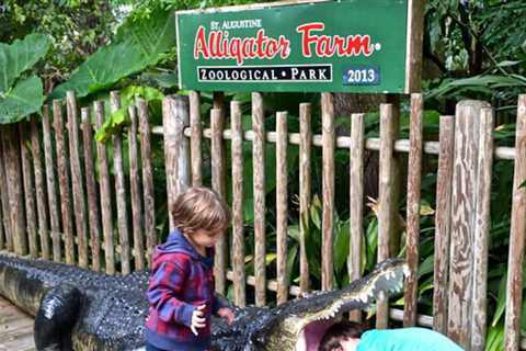 St. Augustine Alligator Farm: History and Exhibits – Over 100 Years of Love and Care