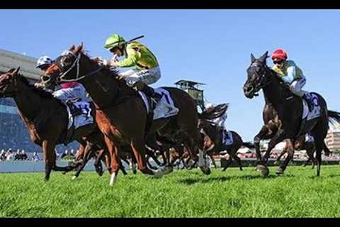 Learn Horse Racing Ratings Strategy From Veteran Analyst Trevor Lawson