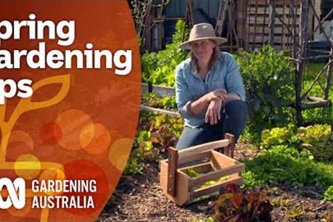 How to get the most success from your spring gardening | Gardening 101 | Gardening Australia