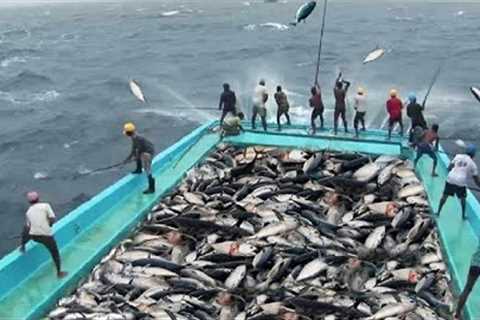 Fastest Tuna Fishing skills-  Fishing  Boat Techniques in Ocean - Amazing Tuna Fish catching Skills
