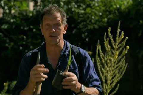 Gardeners' World 2022 Episode 22 - Gardeners' World Full Episodes
