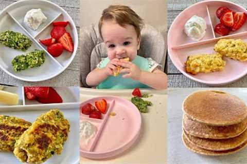 Freezer Friendly Baby Led Weaning Recipes – Prep Ahead!