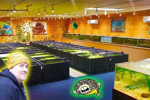 AquariumCoops Urban Fish Farm - COMPLETE TOUR
