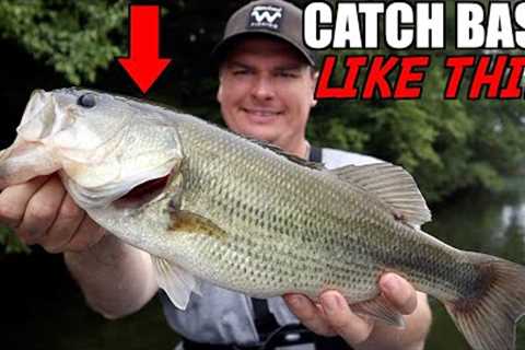 3 Summer Jig Fishing Tips to Catch BIG Bass!