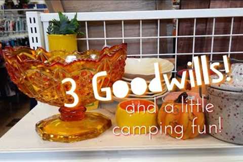 Three Goodwills and a Little Camping Fun! - Shop Along With Me - Goodwill Thrift Stores