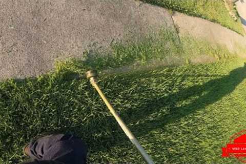 Really Satisfying Edging With Trimmer P.O.V