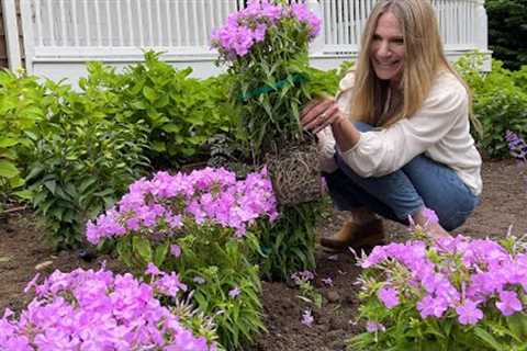 How to Plant Perennials! | Gardening Tips for Beginners